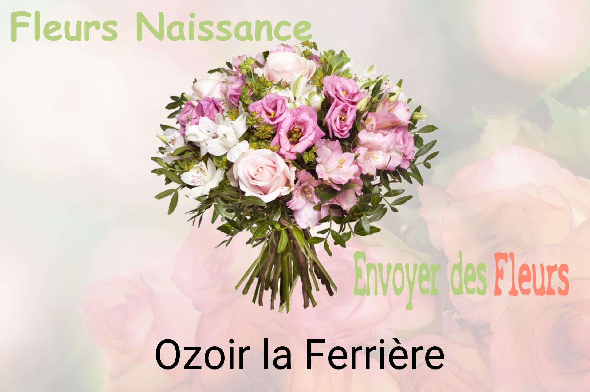 Bouquet de fleurs de naissance livré à Ozoir-la-Ferrière