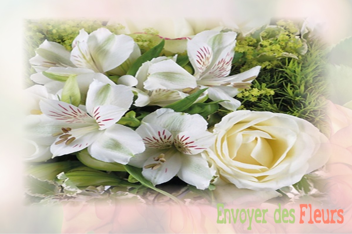 envoyer des fleurs à à OZOIR-LA-FERRIERE